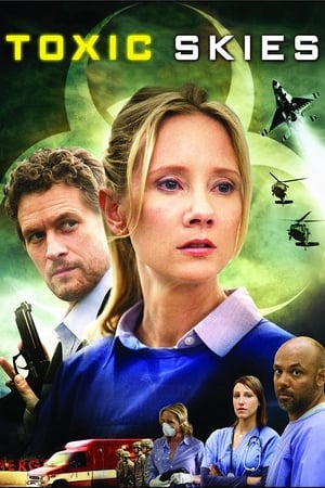 Toxic Skies 2008 Hindi Dual Audio 300MB